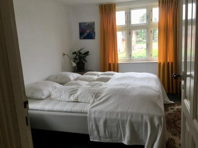 My Home Spodsbjerg Extérieur photo